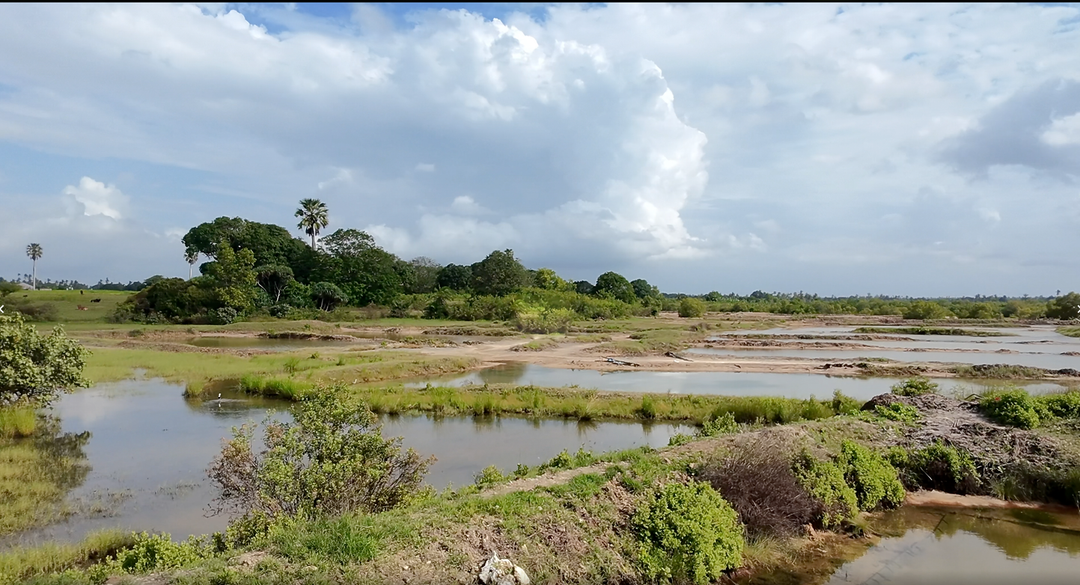 Salzgärten auf Sansibar - New Hope