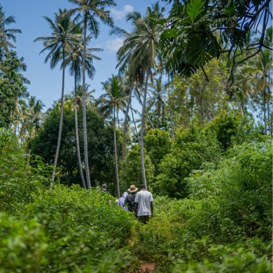 Blue Spices Zanzibar Spice Farm 2024